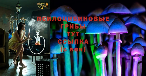 дурь Белоозёрский