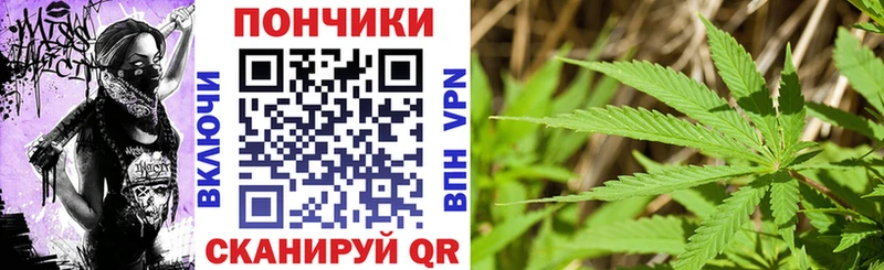 Канабис сатива Демидов